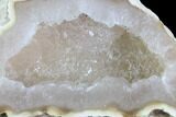 Agatized Fossil Coral Geode - Florida #97919-1
